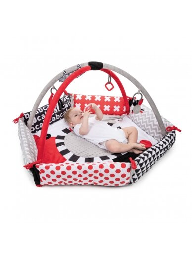 Canpol babies žaidimų kilimėlis SENSORY TOYS 68/077 4