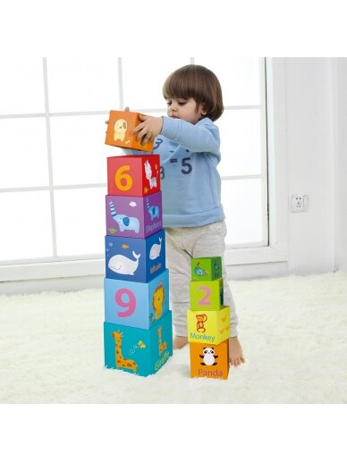 CLASSIC WORLD Magic Box Blocks Puzzle Tower Box lavinantis žaislas 6