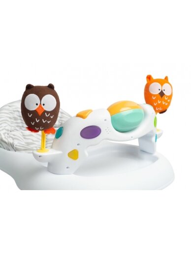 Vaikštynė Toyz Owls 10