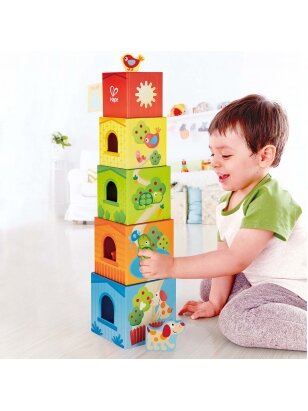 HAPE TOYS – tai vieni didžiausių pasaulyje žaislų iš tvarių medžiagų gamintojų. Įmonės gaminami žaislai yra kūrybiškai suprojektuoti ir ekologiški. Žaidimams nesvarbi kultūra, kalba ar lytis. Visa įmonės gaminama produkcija atitinka griežčiausius tarptaut