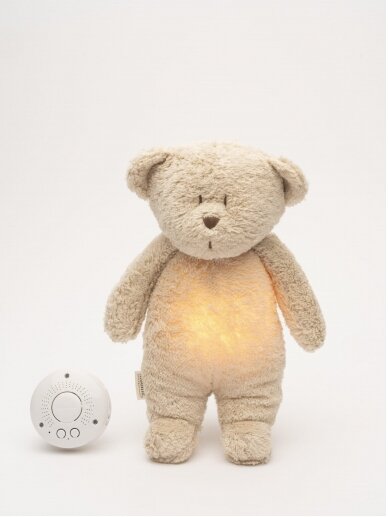 Nap toy bear, moonie 8