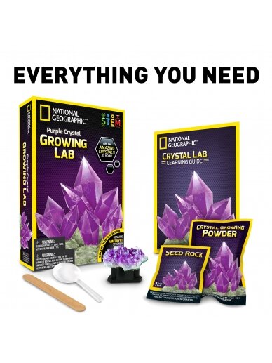 NATIONAL GEOGRAPHIC rinkinys Crystal Grow Purple, NGPCRYSTAL 1