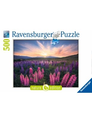 RAVENSBURGER dėlionė Lupinen, 500d., 17492